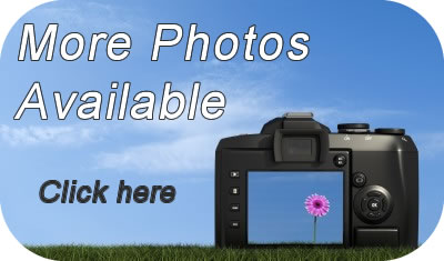 Book Argentor Cottage online